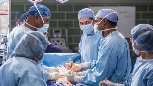 Anatomía de Grey Temporada 12 Episodios 13 • Sub Español