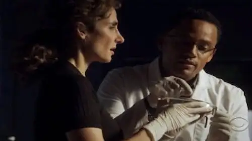 CSI: Nueva York Temporada 6 Episodios 9 • Sub Español