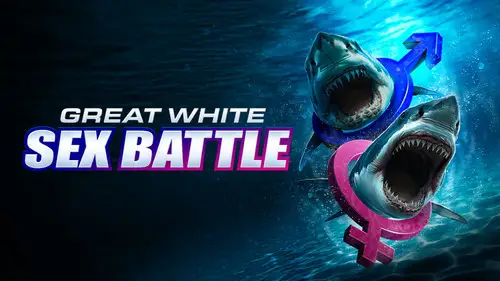 Shark Week S38E4 • Oglądaj Online