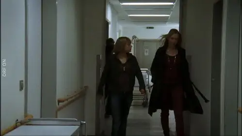 Crimen en los Alpes Temporada 9 Episodios 4 • Sub Español