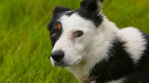 Countryfile S35E10 • Oglądaj Online