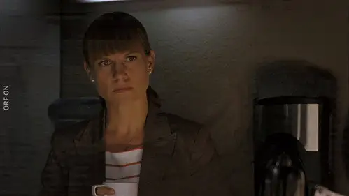 Crimen en los Alpes Temporada 12 Episodios 1 • Sub Español