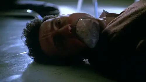 Fringe Temporada 1 Episodios 11 • Sub Español