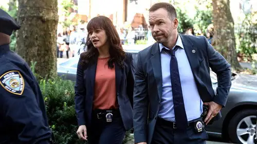 Familia de policías Temporada 9 Episodios 4 • Sub Español