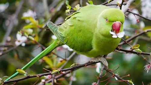 Springwatch Temporada 16 Episodios 10 • Sub Español