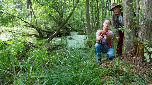 Löwenzahn Temporada 45 Episodios 1 • Sub Español