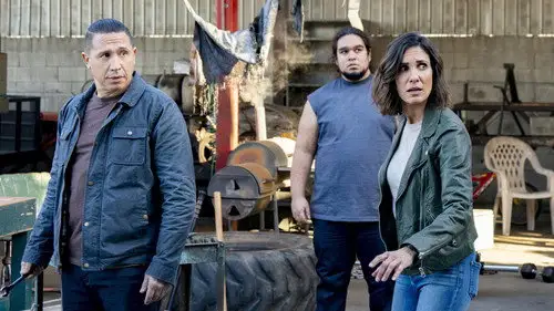 NCIS: Los Ángeles Temporada 12 Cap 9 • Español Online