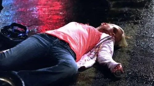 CSI: Nueva York Temporada 5 Episodios 23 • Sub Español