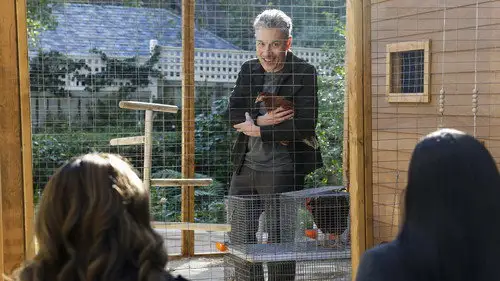 CSI: Vegas Temporada 3 Episodios 6 • Sub Español