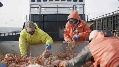 Pesca radical Temporada 19 Episodios 8 • Sub Español