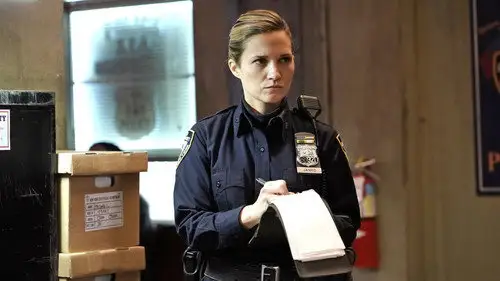 Familia de policías Temporada 9 Episodios 17 • Sub Español