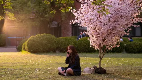 Besos, Kitty Temporada 2 Episodios 2 • Sub Español