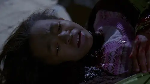 Ley y orden: Unidad de Víctimas Especiales Temporada 10 Episodios 17 • Sub Español