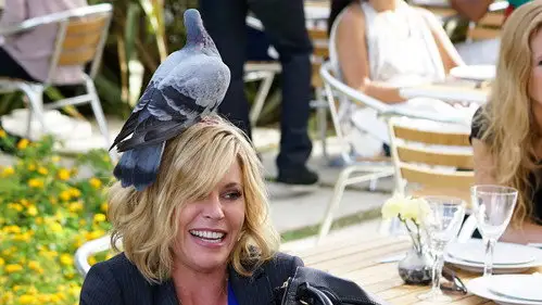 Modern Family Temporada 7 Episodios 4 • Sub Español