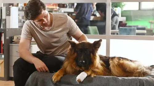 Komisarz Alex Temporada 18 Episodios 13 • Sub Español