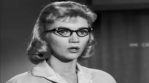 Perry Mason Temporada 5 Episodios 21 • Sub Español