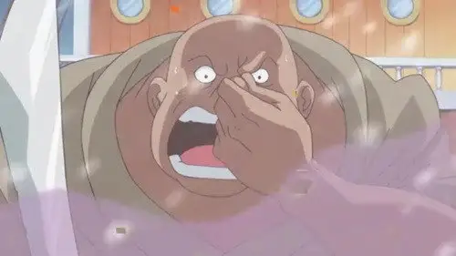 One Piece Temporada 15 Episodios 596 • Sub Español