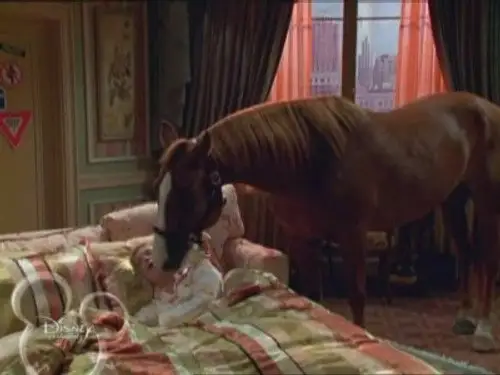 Hotel, dulce hotel: Las aventuras de Zack y Cody Temporada 2 Episodios 5 • Sub Español