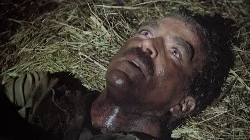 Magnum 1980 Temporada 7 Episodios 16 • Sub Español