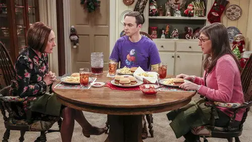 Big Bang Temporada 10 Episodios 12 • Sub Español