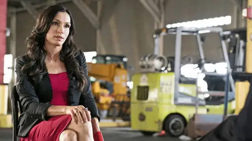 The Blacklist Temporada 3 Episodios 21 • Sub Español