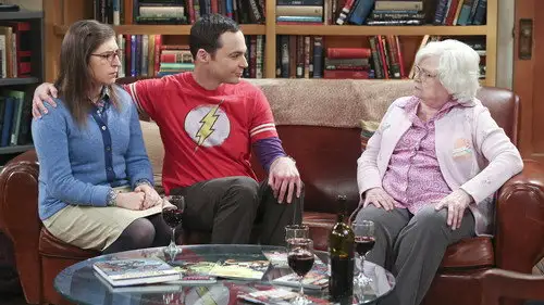 Big Bang Temporada 9 Episodios 14 • Sub Español