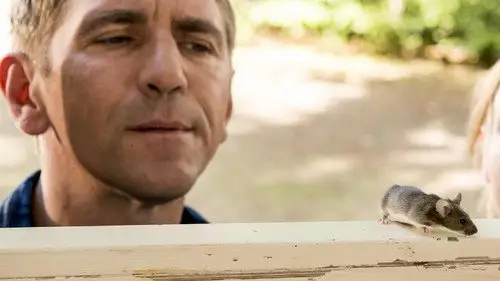 Löwenzahn Temporada 38 Episodios 11 • Sub Español
