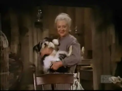 Bonanza Temporada 11 Episodios 17 • Sub Español