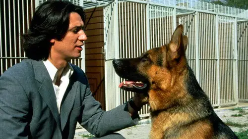 Rex, un policía diferente Temporada 1 Episodios 1 • Sub Español