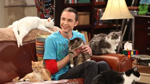 Big Bang Temporada 4 Episodios 3 • Sub Español