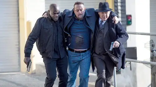 The Blacklist Temporada 5 Episodios 13 • Sub Español