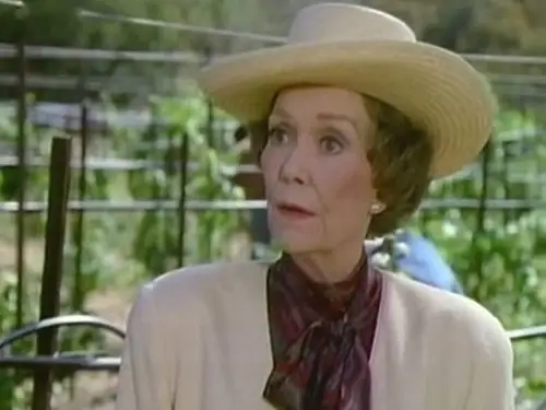 Falcon Crest Temporada 8 Episodios 1 • Sub Español