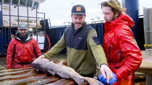 Pesca radical Temporada 18 Episodios 16 • Sub Español