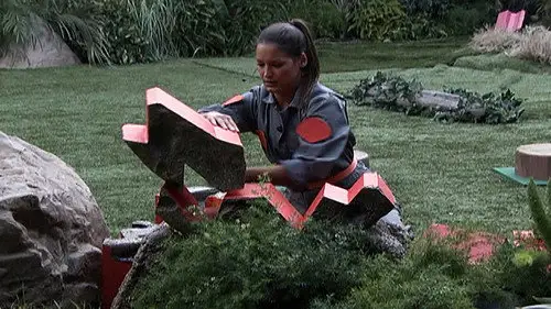 Gran hermano (Estados Unidos) Temporada 15 Episodios 15 • Sub Español
