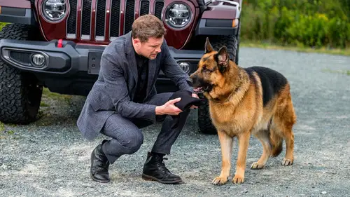 Hudson & Rex Temporada 4 Episodios 7 • Sub Español