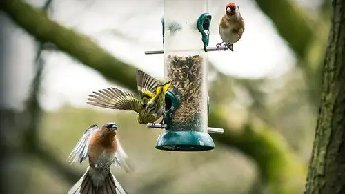 Springwatch Temporada 17 Episodios 1 • Sub Español