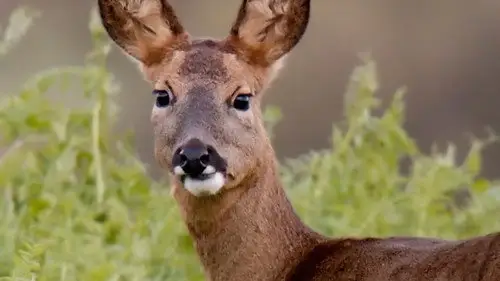 Countryfile S37E6 • Oglądaj Online