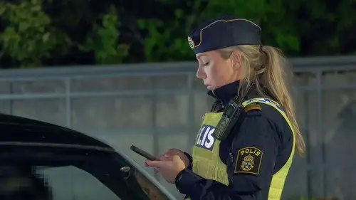 Gränsbevakarna Sverige Temporada 7 Episodios 8 • Sub Español