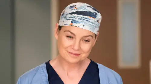 Anatomía de Grey Temporada 14 Cap 13 • Español Online