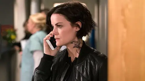 Blindspot Temporada 3 Episodios 11 • Sub Español