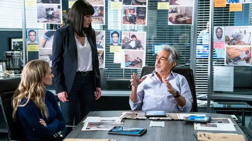Mentes criminales Temporada 14 Episodios 9 • Sub Español
