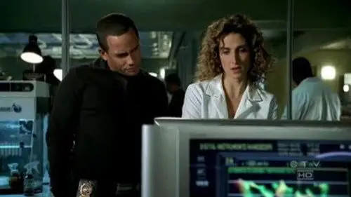 CSI: Nueva York Temporada 3 Episodios 10 • Sub Español