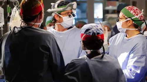 Anatomía de Grey Temporada 8 Cap 11 • Español Online