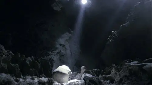 NOVA Temporada 45 Cap 3 • Español Online
