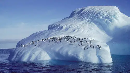Nature S25E2 • Oglądaj Online