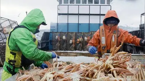 Pesca radical Temporada 17 Episodios 10 • Sub Español