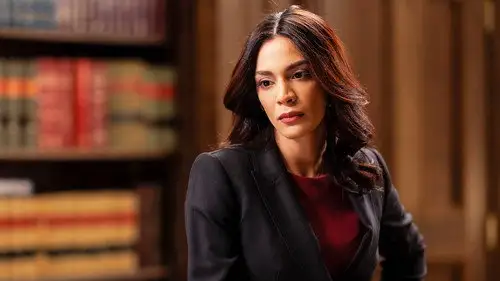 Ley y orden Temporada 22 Episodios 10 • Sub Español