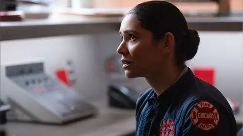 Chicago Fire Temporada 14 Episodios 15 • Sub Español