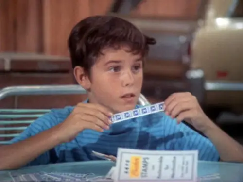 The Brady Bunch Temporada 1 Episodios 15 • Sub Español