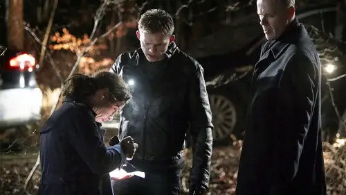 The Killing: Crónica de un asesinato Temporada 3 Episodios 2 • Sub Español
